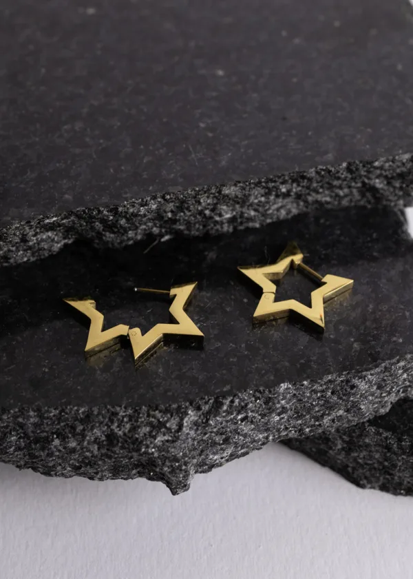 Stainless star earring