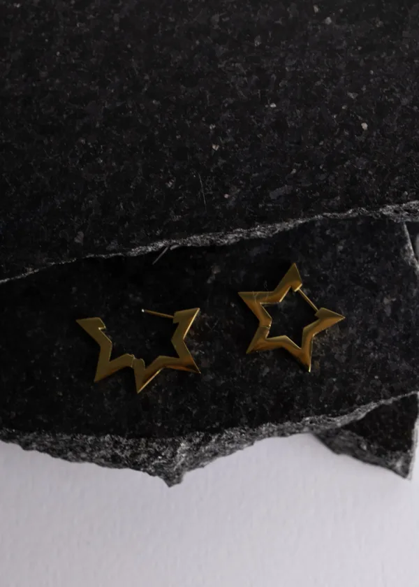 Stainless star earring