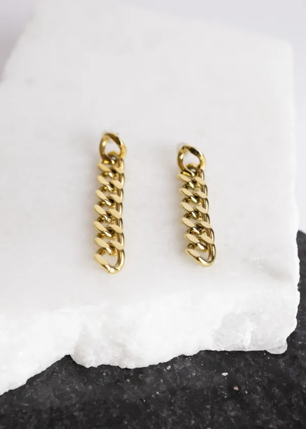 Long chain earring