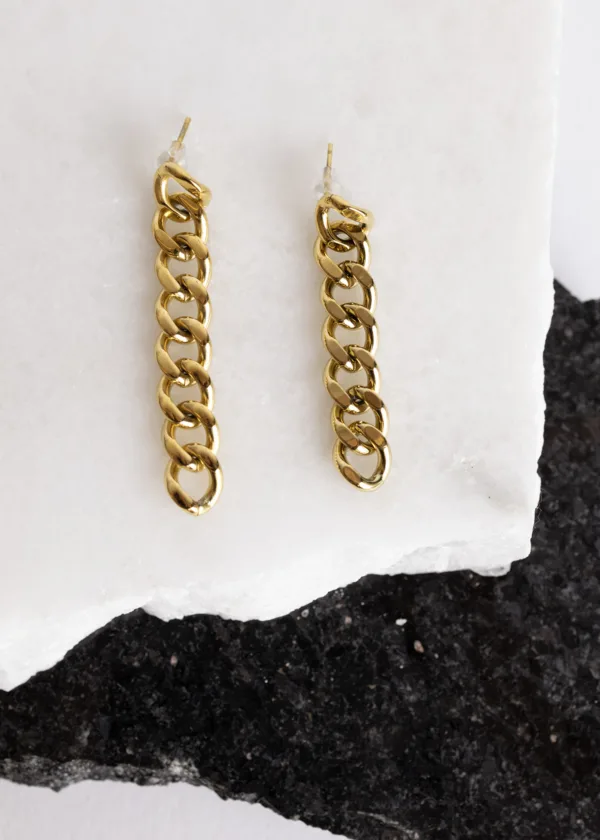 Long chain earring